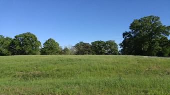 (private lake, pond, creek) Lot For Sale in Poplarville Mississippi