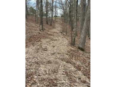Awesome Lakefront/Lakeview  Building Site with Community water - photo 3