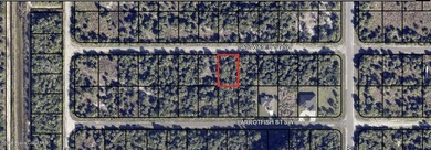 Build your dream home on this spacious vacant lot located at 842 - photo 1