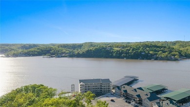 Discover the pinnacle of Lake of the Ozarks living at Niangua - photo 41