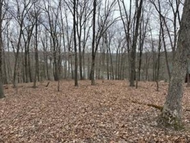 Awesome Lakefront/Lakeview  Building Site with Community water - photo 6