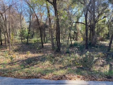 Lake Lot For Sale in Tool, Texas