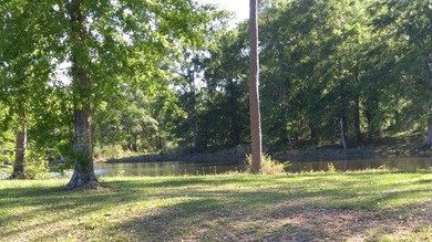 Poplarville's best kept secret! Take country living to a new - photo 3
