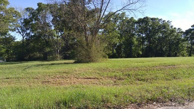 Poplarville's best kept secret! Take country living to a new - photo 4