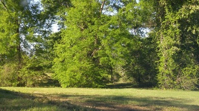 Poplarville's best kept secret! Take country living to a new - photo 5