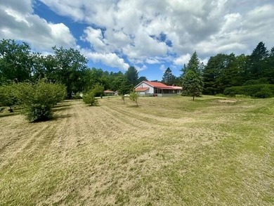 Spacious Ranch set on a large in-town parcel offers a large - photo 9