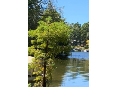 Lake Lot For Sale in Manning, South Carolina