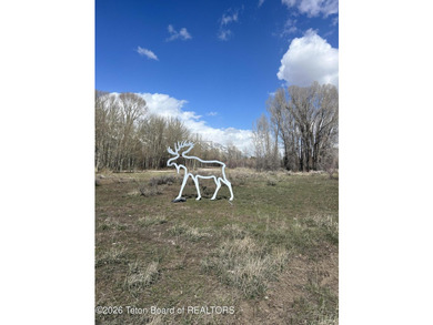 Set on 5 pristine acres in Jackson Hole, WY 83001 this - photo 19