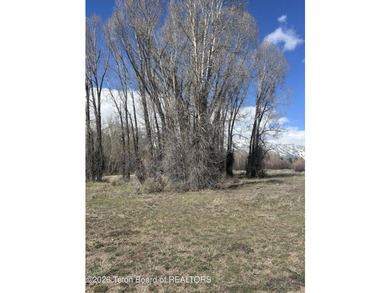 Set on 5 pristine acres in Jackson Hole, WY 83001 this - photo 27