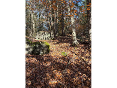 (private lake, pond, creek) Acreage For Sale in Washington New Hampshire