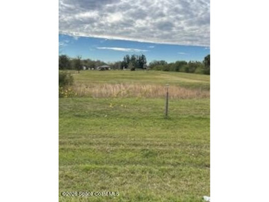 Lake Marian - Osceola County Acreage For Sale in Kenansville Florida