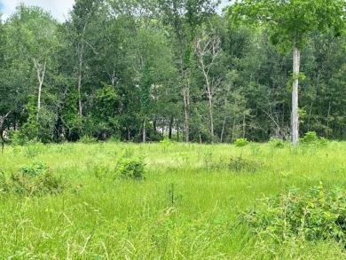 Barefoot Bay Beauty — 1 Acre with Lake Views & Marina Slip - photo 15
