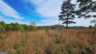 Beautiful 2.21 acre lot with lake access in the sought-after - photo 1