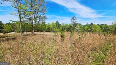 Beautiful 2.21 acre lot with lake access in the sought-after - photo 2