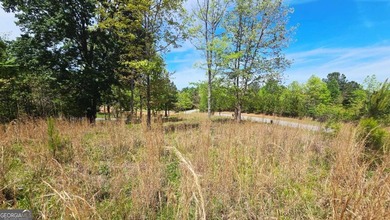 Beautiful 2.21 acre lot with lake access in the sought-after - photo 4