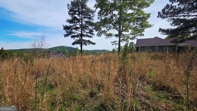 Beautiful 2.21 acre lot with lake access in the sought-after - photo 5