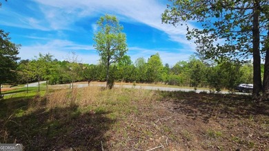 Beautiful 2.21 acre lot with lake access in the sought-after - photo 6