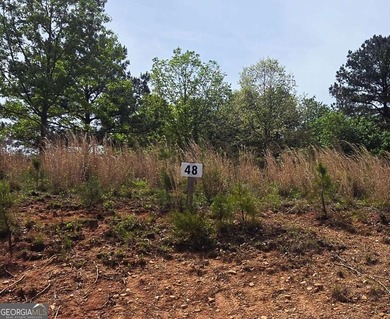 Beautiful 2.21 acre lot with lake access in the sought-after - photo 7