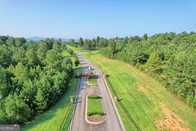 Beautiful 2.21 acre lot with lake access in the sought-after - photo 9