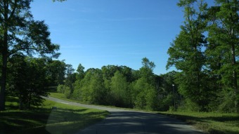 (private lake, pond, creek) Acreage For Sale in Poplarville Mississippi