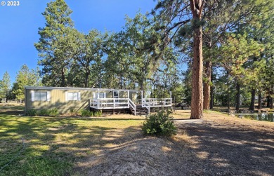 Pine Hollow Reservoir Home For Sale in Wamic Oregon