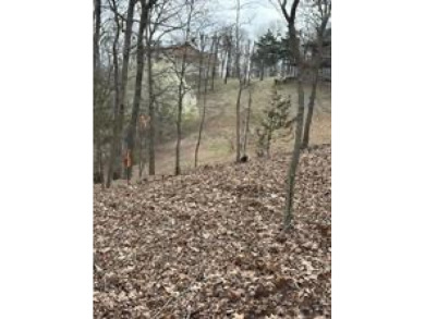 Awesome Lakefront/Lakeview  Building Site with Community water - photo 7