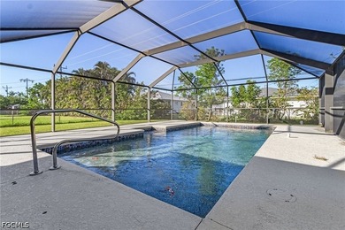 Recently remodeled pool home featuring a split-bedroom layout - photo 26