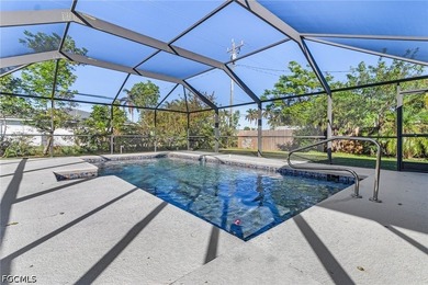 Recently remodeled pool home featuring a split-bedroom layout - photo 28