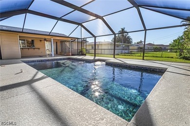 Recently remodeled pool home featuring a split-bedroom layout - photo 29