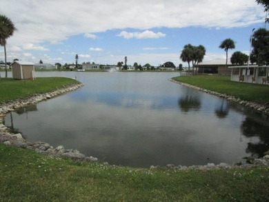 Buccaneer Estates - 911 Strongbox Ln North Fort Myers Fl 33917 - photo 49