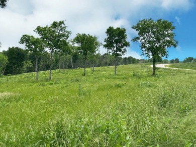 Barefoot Bay Beauty — 1 Acre with Lake Views & Marina Slip - photo 26