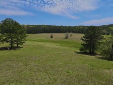 Lake Acreage For Sale in Shelby, Alabama