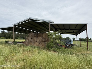 100.18+/- acres in Lawrence County, MS in the Jayess community - photo 14