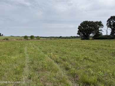 100.18+/- acres in Lawrence County, MS in the Jayess community - photo 16