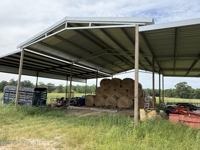 100.18+/- acres in Lawrence County, MS in the Jayess community - photo 17