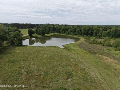 100.18+/- acres in Lawrence County, MS in the Jayess community - photo 18