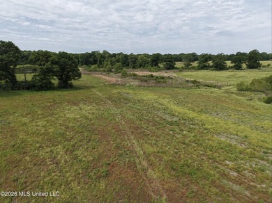 100.18+/- acres in Lawrence County, MS in the Jayess community - photo 20