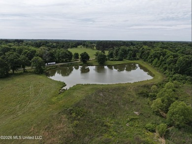 100.18+/- acres in Lawrence County, MS in the Jayess community - photo 21