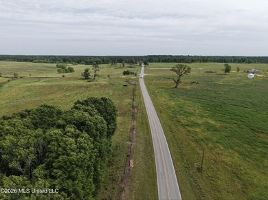 100.18+/- acres in Lawrence County, MS in the Jayess community - photo 22