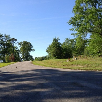Poplarville's best kept secret! Take country living to a new - photo 2