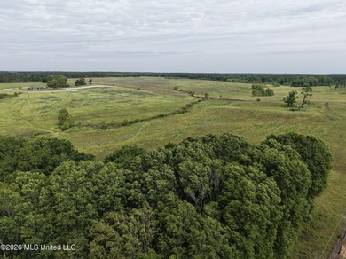 100.18+/- acres in Lawrence County, MS in the Jayess community - photo 23