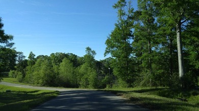 Poplarville's best kept secret! Take country living to a new - photo 3