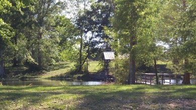 Poplarville's best kept secret! Take country living to a new - photo 4