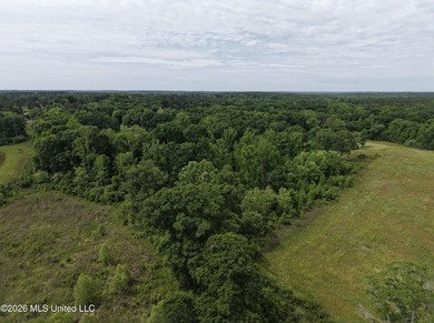 100.18+/- acres in Lawrence County, MS in the Jayess community - photo 26