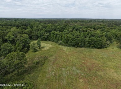 100.18+/- acres in Lawrence County, MS in the Jayess community - photo 27