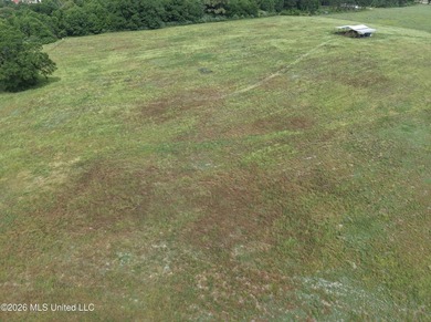 100.18+/- acres in Lawrence County, MS in the Jayess community - photo 28