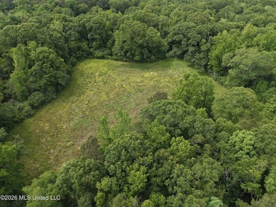 100.18+/- acres in Lawrence County, MS in the Jayess community - photo 30