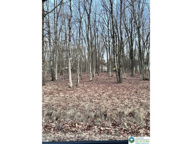 Indian Mountain Lakes Lot For Sale in Tunkhannock Twp Pennsylvania