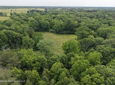 100.18+/- acres in Lawrence County, MS in the Jayess community - photo 31