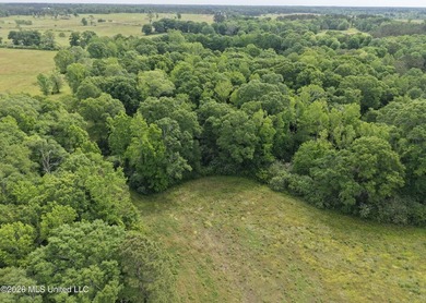 100.18+/- acres in Lawrence County, MS in the Jayess community - photo 33